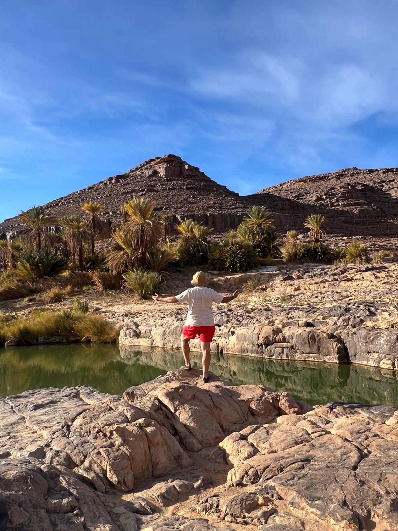 Oasis et guelta en plein désert algérien